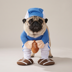 Pug wearing an American football walking costume