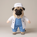 Pug wearing a doctor walking costume with white coat