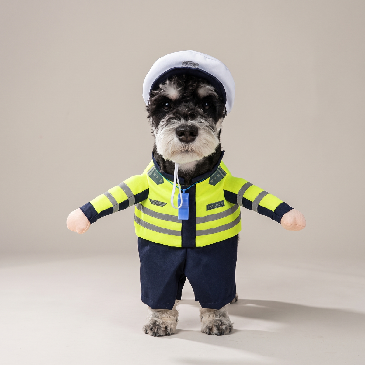 Dog wearing a hi-vis traffic police walking costume