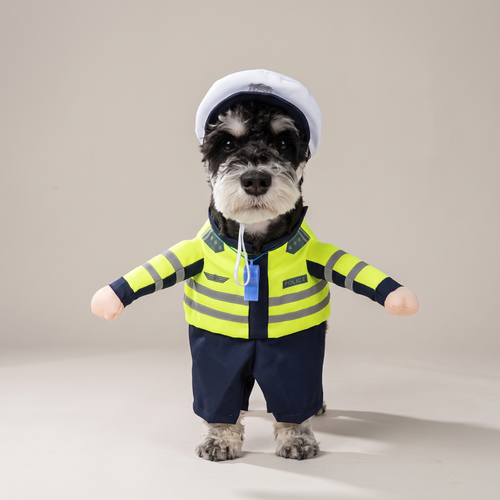 Dog wearing a hi-vis traffic police walking costume