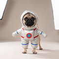 Pug wearing a silver astronaut walking costume