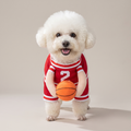 White dog wearing a red number 2 basketball walking costume