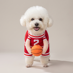 White dog wearing a red number 2 basketball walking costume