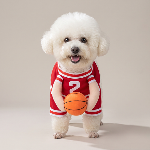 White dog wearing a red number 2 basketball walking costume