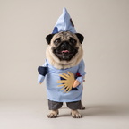 Pug wearing a patched wandering monk walking costume