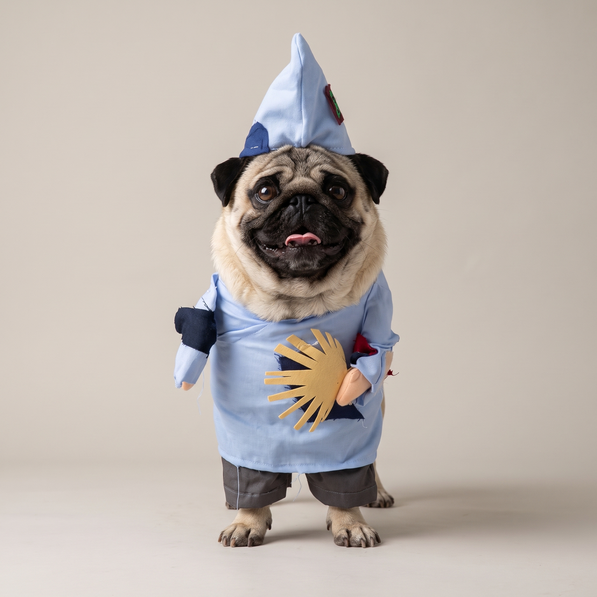 Pug wearing a patched wandering monk walking costume
